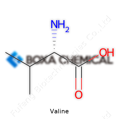 Valine