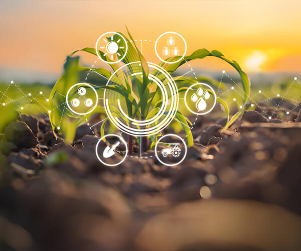 Fufeng Biotechnologies Co.,Ltd